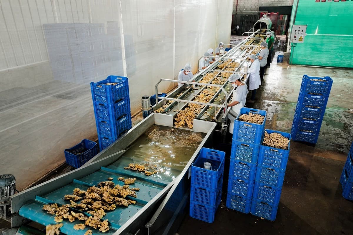 Equipamiento Moderno